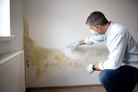 Mold Removal for HVAC Installations in Clarendon, AR